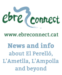 Ebreconnect